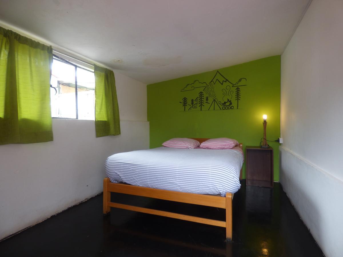 The Grasshopper Hostal